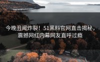 今晚丑闻炸裂！51黑料官网直击揭秘，震撼网红内幕网友直呼过瘾
