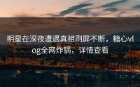 明星在深夜遭遇真相刷屏不断，糖心vlog全网炸锅，详情查看