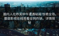 圈内人在昨天中午遭遇秘闻 惊艳全场，蘑菇影视在线观看全网炸锅，详情探秘